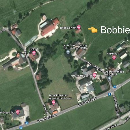 Bobbies Nest Villa Schladming Eksteriør billede