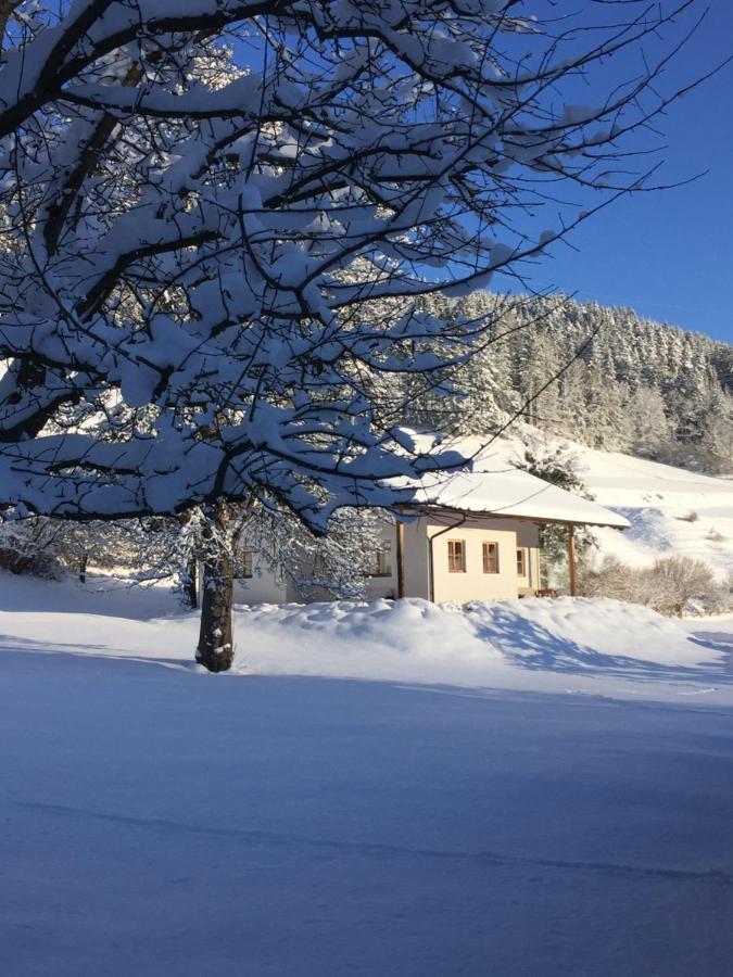 Bobbies Nest Villa Schladming Eksteriør billede
