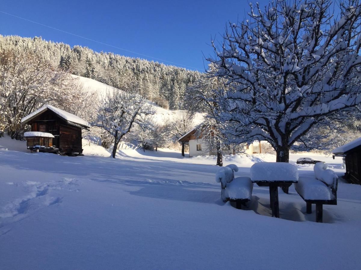 Bobbies Nest Villa Schladming Eksteriør billede