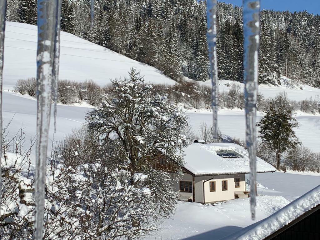 Bobbies Nest Villa Schladming Eksteriør billede