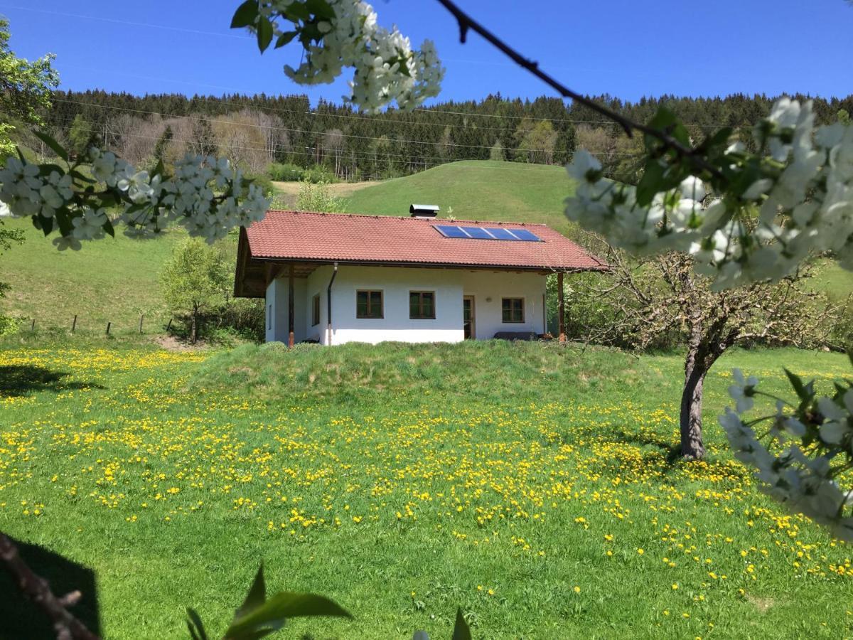 Bobbies Nest Villa Schladming Eksteriør billede